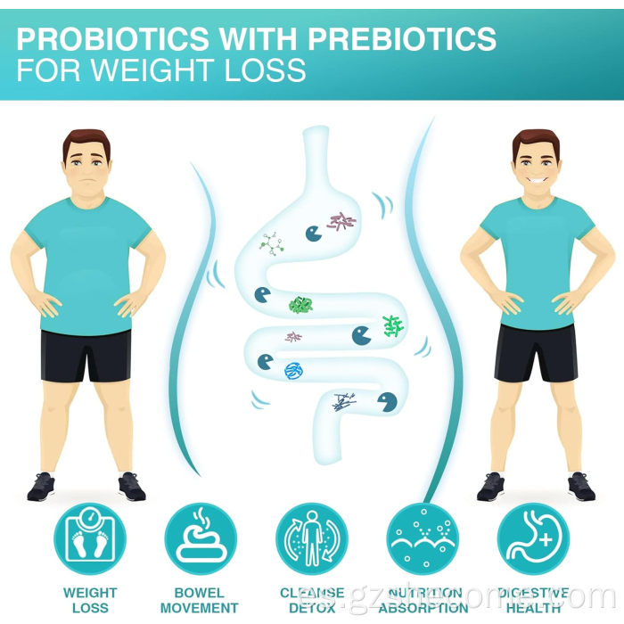 Shecome Tabletas probióticas para hombres Apoyo a la salud digestiva